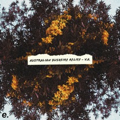 PREMIERE: Pinz & Pelz - To Be Seen (Australian Bushfire Relief V.A.)
