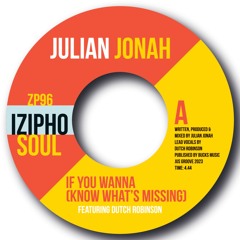 IF YOU WANNA -JULIAN JONAH Feat DUTCH ROBINSON (Snippet)