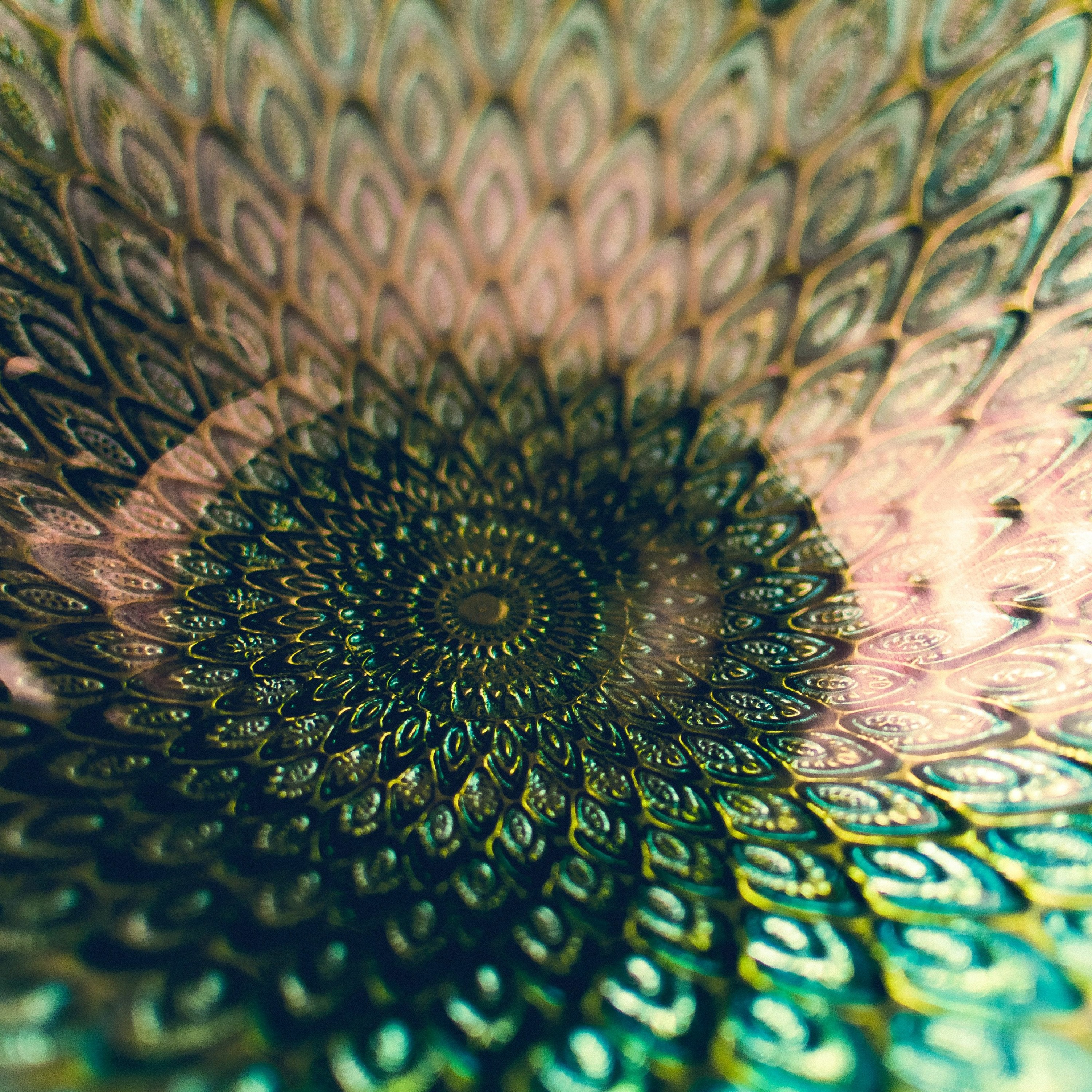 Morphic  Resonance Meditation