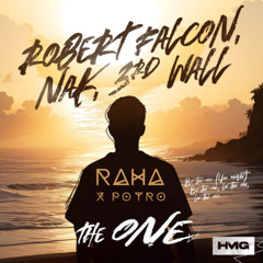Robert Falcon, 3rd Wall, NAK, Daddy Yankee - The One (RAHA x POTRO Remix)