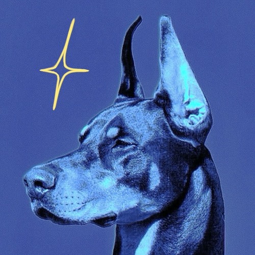 DP 25 | Jeune & Brave