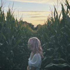 a meadow in the rain