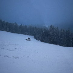 2024-12-25 12:42 (Cabin)