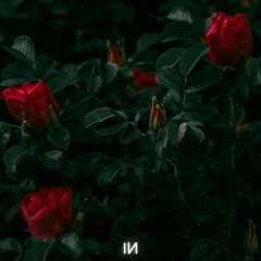 2nd Life - Love Again