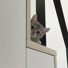 Originalala | Nói tôi nghe câu chuyện của em