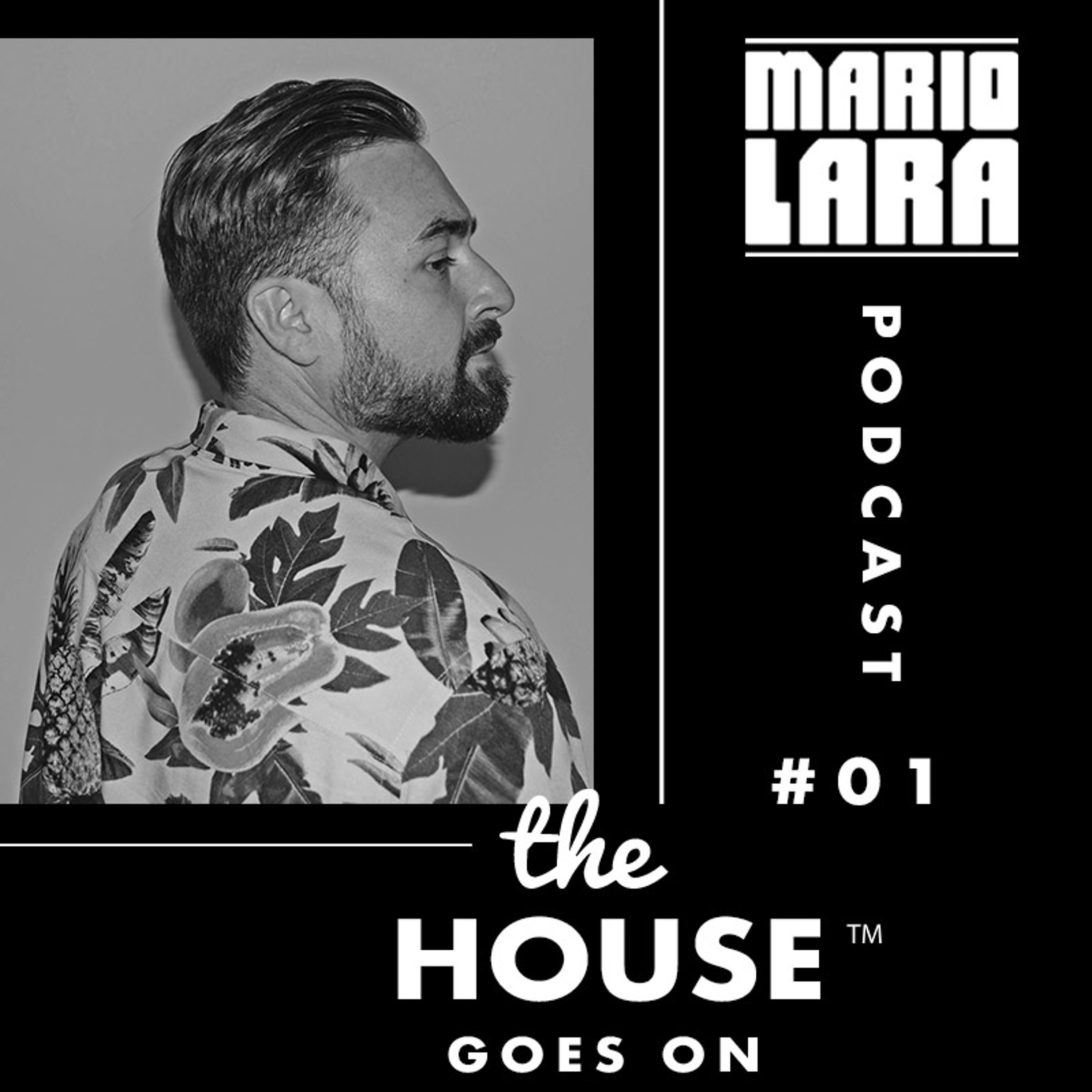The House Goes On