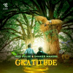 Red Pulse & Shaker Makers - Gratitude ★ OUT NOW ON ALIEN RECORDS ★