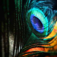 Tobacco Vanille Cologne By Tom Ford For Men