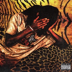 model status [nokija]