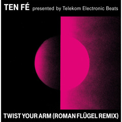 Twist Your Arm (Roman Flügel Remix)