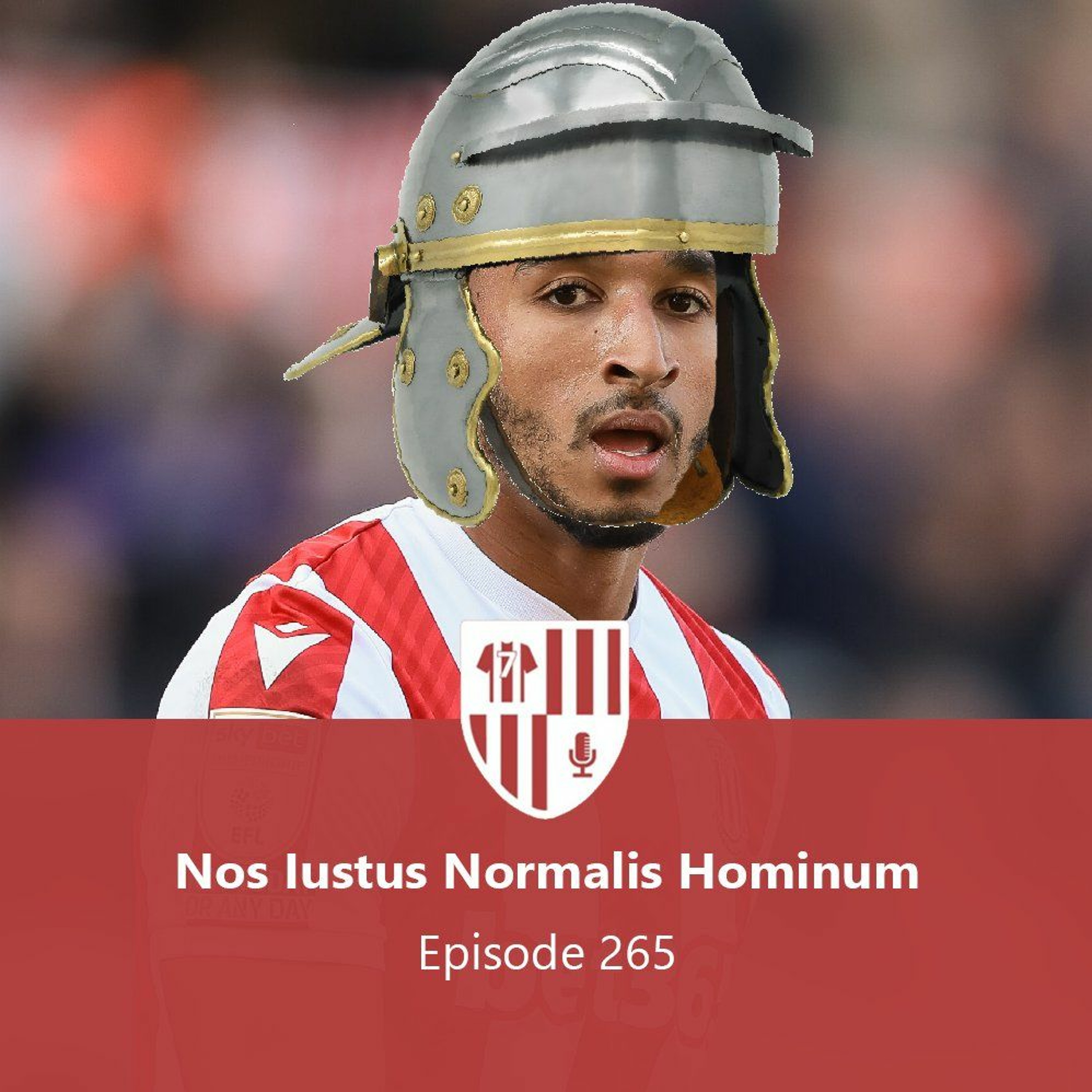 The Wizards of Drivel - Stoke City Podcast