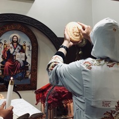 Fr Moses St Shenouda - Those O Lord to Fraction