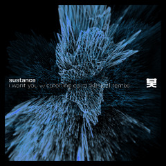 Sustance - I Want You ft. Catching Cairo (Klinical Remix)