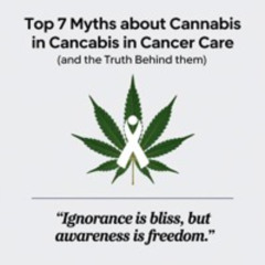 Top 7 Myths About Cannabis In Cancer Care Heres What You Need To Know