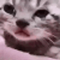 my alcoholic friends - dreson dolls - (sped up)