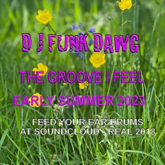 The Groove I Feel 2023