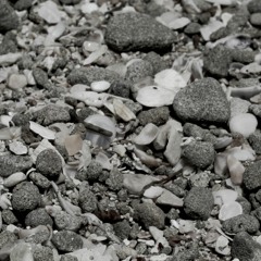 Breathing, study of the Vrnik quarry