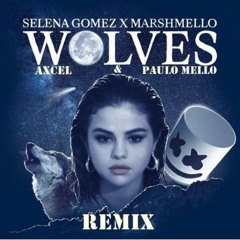 Wolves (Axcel & Paulo Mello Remix)