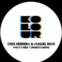 Cris Herrera & Miguel Rios- What U Need (Original Mix)