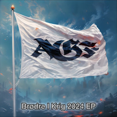 Brødre I Krig (Surt Mix)