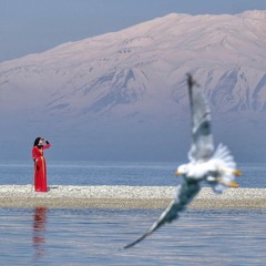 Evgeny Grinko - Field.mp3