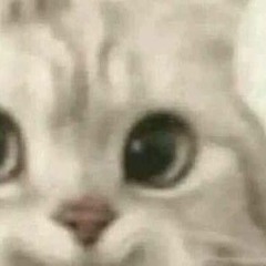 ULTRA VUK (Super Slowed) - TRASHXRL