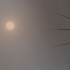 Mar¡n - Petit prince