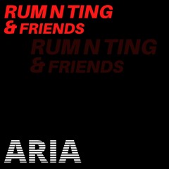 Rum N Ting N Friends Vol. 4 - ARIA