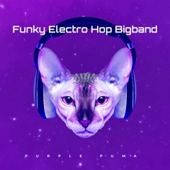 Funky Electro Hop Bigband