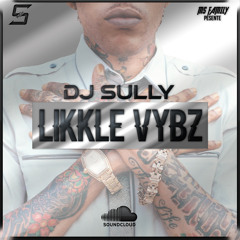 DJ SULLY - LiKKLE VYBZ