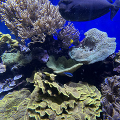 RK - Tierquar (speed up).mp3