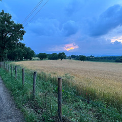 AR-15 - 1_2_24, 7.22 PM