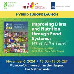 Improving Diets & Nutrition through Food Systems - A Dialogue on IFPRI’s 2024 GFPR