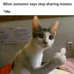 dil kehta hai night nurse