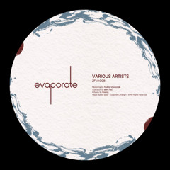 PREMIERE: Acid Bounty - In The Cave Of The Mountain Queen [ZFVA008]