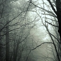 NIN - Sanctified (pedro Pereira Neto)