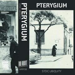 Pterygium - "The Regularity"