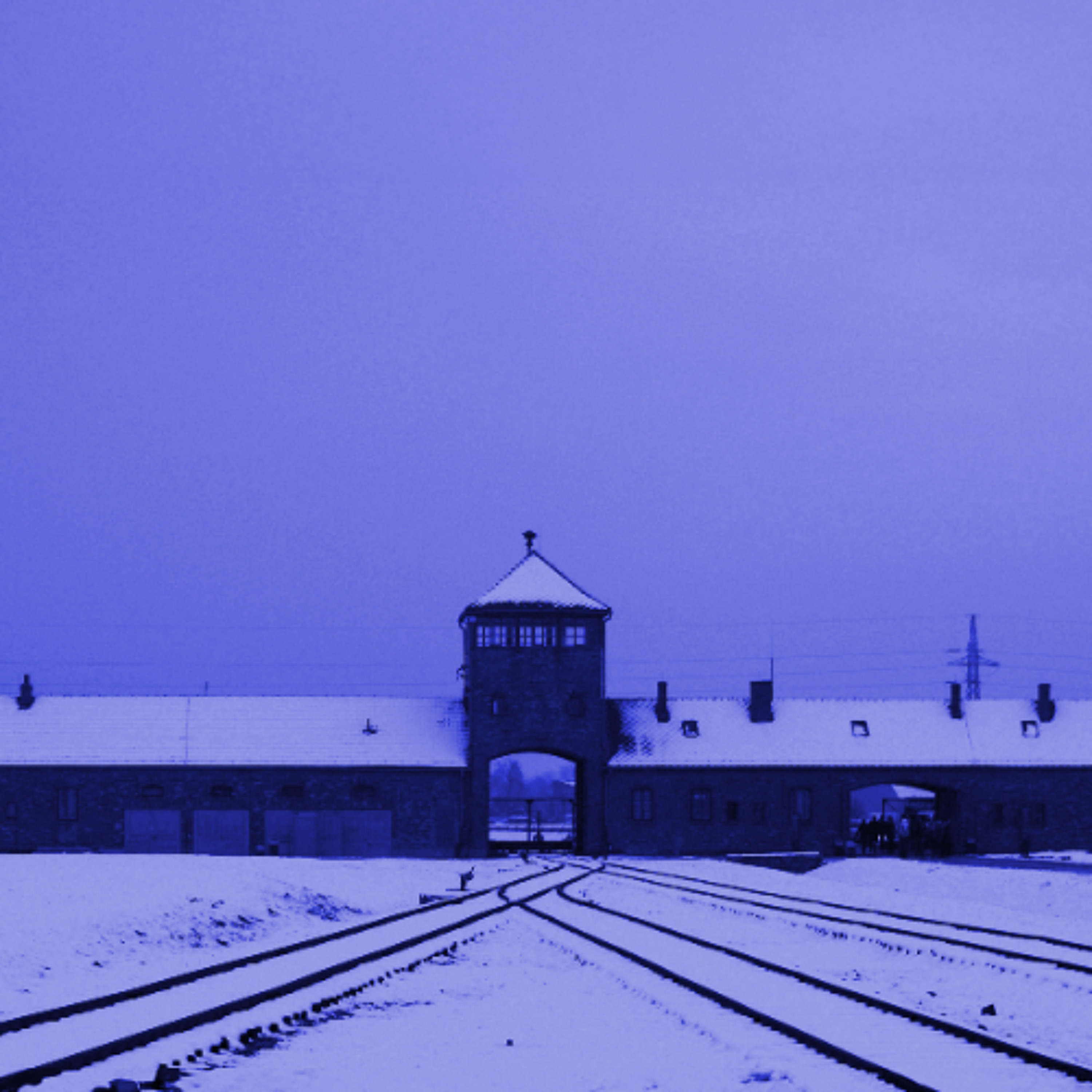 The Nazi Experiment, Vol. 14: Germany Is Not an Economic Zone