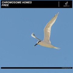 Chromosome Homes - Free