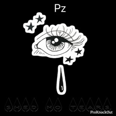 Pz -  Shed No Tears (prod.NoCapBeats)