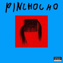 Pinchocho