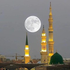 القصيدة المضرية في الصلاة على خير البرية صلى الله عليه وسلم. د محمد وسام