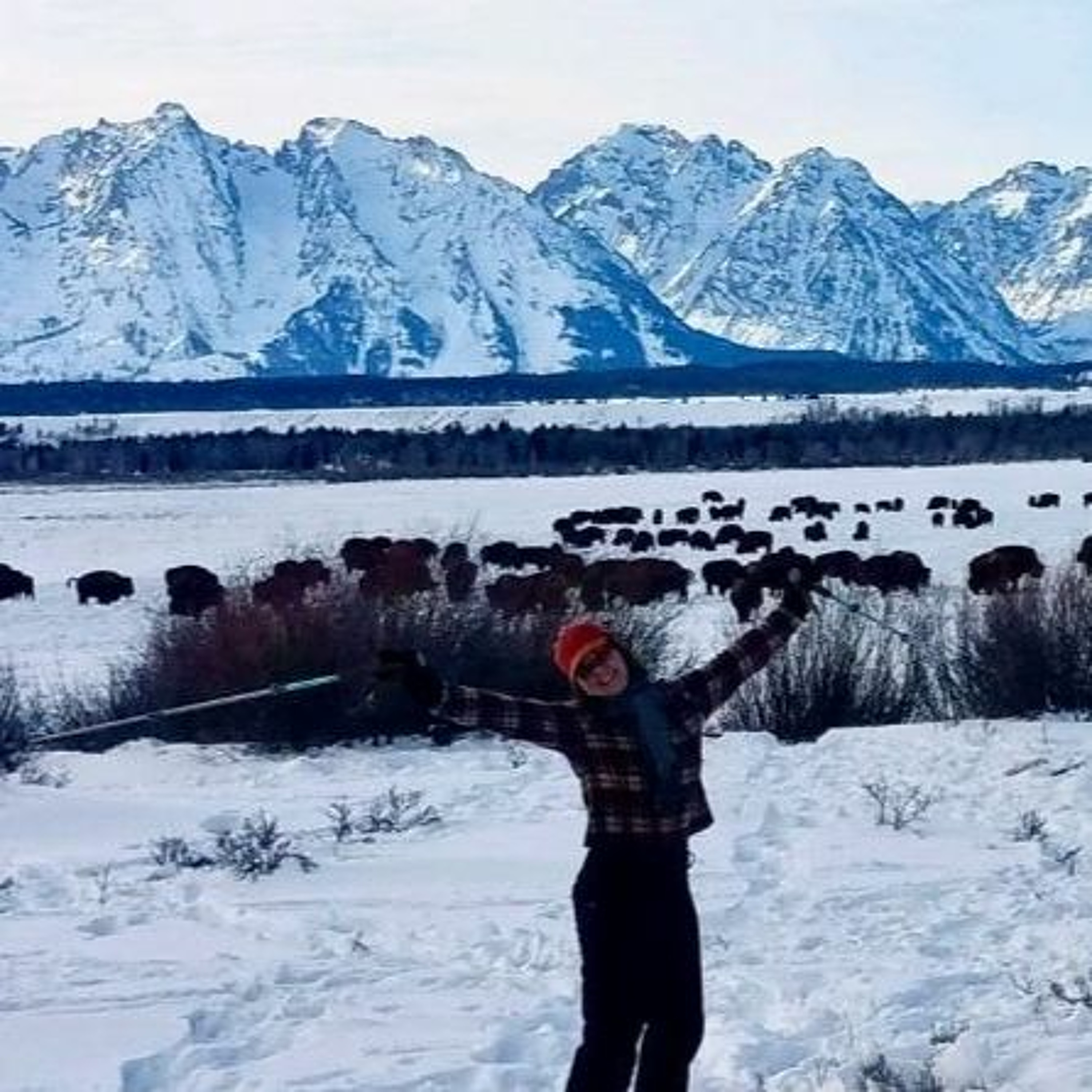 As Jackson gets pricier, Grand Teton National Park says it will need to house more workers episode artwork