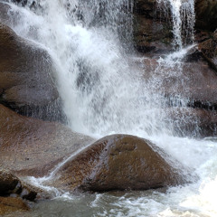 Twerk Sumthin (feat. Dizzle DiCaprio, Sincerely S.P.A.D.E, Vocullz,  Spitz Da Og)