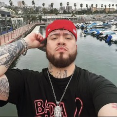 Trampolin-Bryartz🐍🐍