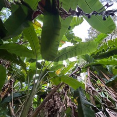 china bowls x Babyreegz