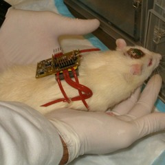 hope i dont make it past 20