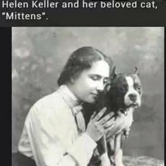 ghostly aberitions.m4a