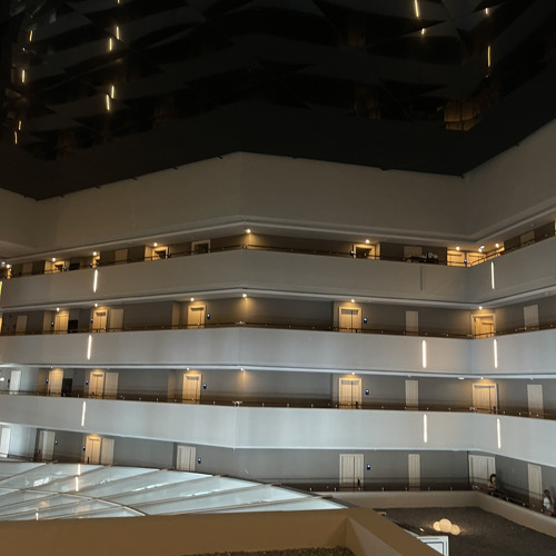 sales - renee + brain is the most beautiful