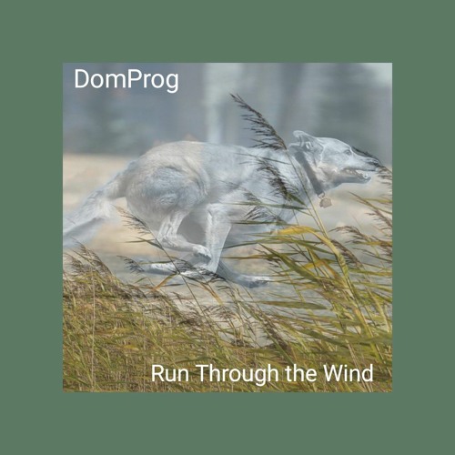 Run through the wind